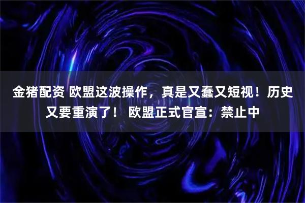 金猪配资 欧盟这波操作，真是又蠢又短视！历史又要重演了！ 欧盟正式官宣：禁止中