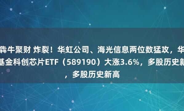 犇牛聚财 炸裂！华虹公司、海光信息两位数猛攻，华宝基金科创芯片ETF（589190）大涨3.6%，多股历史新高
