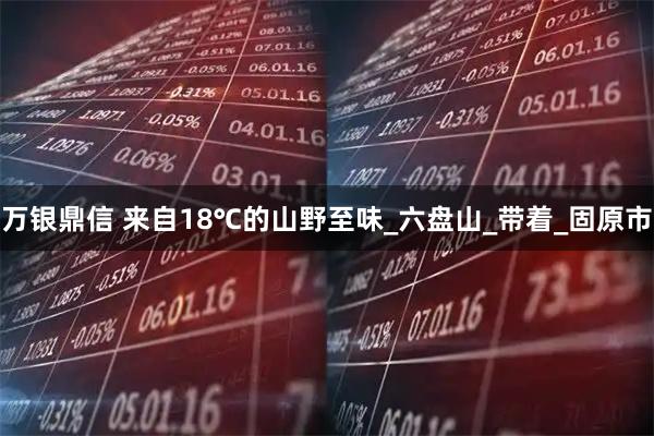 万银鼎信 来自18℃的山野至味_六盘山_带着_固原市